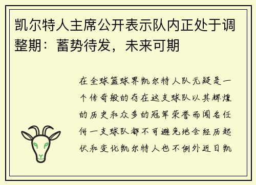 凯尔特人主席公开表示队内正处于调整期：蓄势待发，未来可期